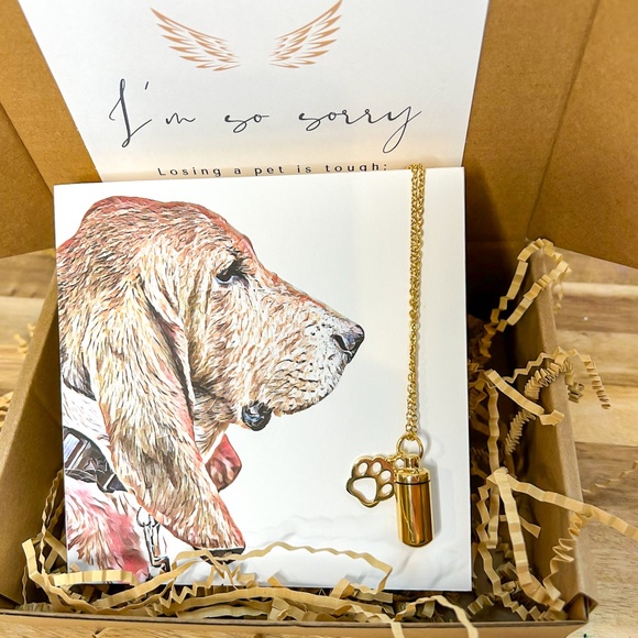 Memorial Pet Portrait and Urn Gift Set - Picture 2 of 9